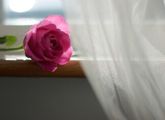 W czym moczyć firanki żeby były śnieżnobiałe? W czym moczyć firanki żeby były śnieżnobiałe?